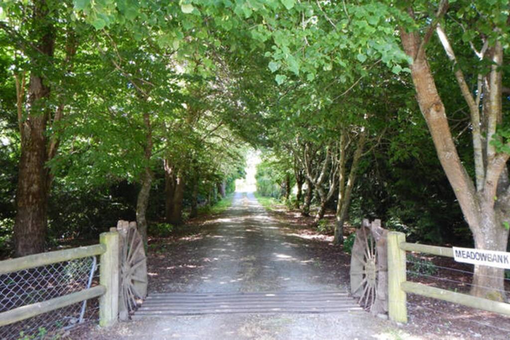 Our driveway