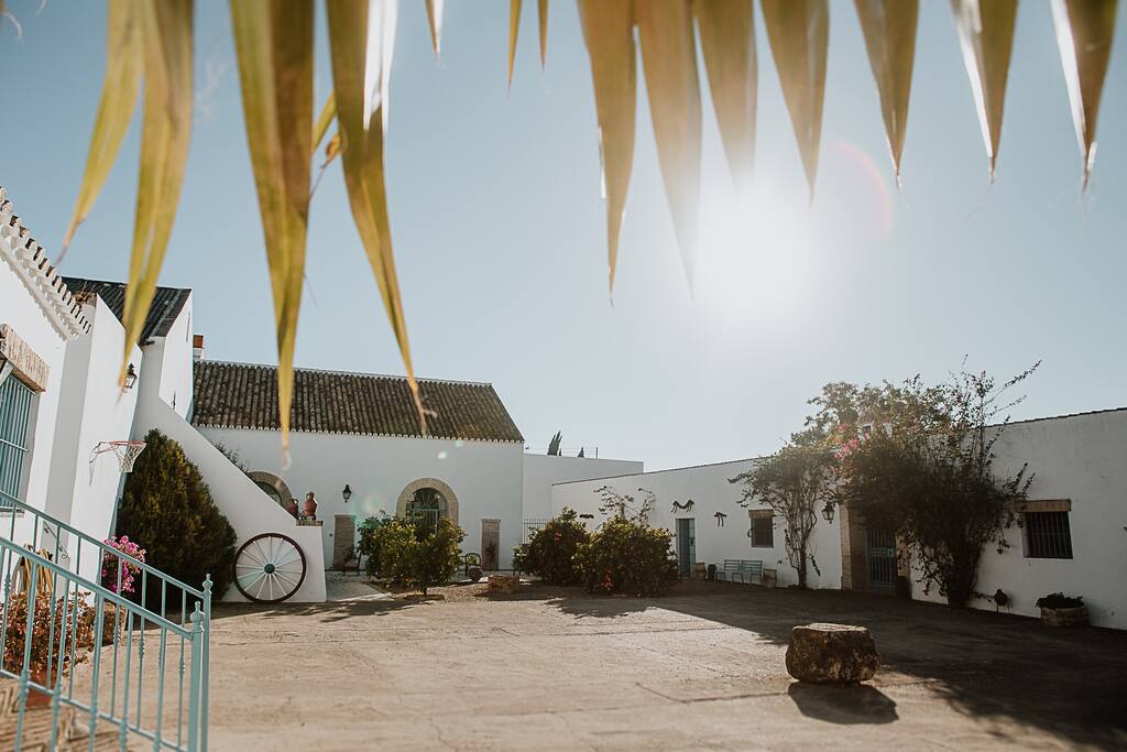 Patio interior.