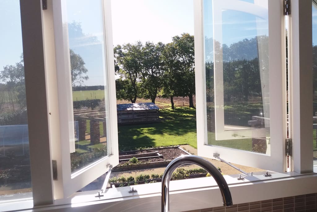 The view from the kitchen window
