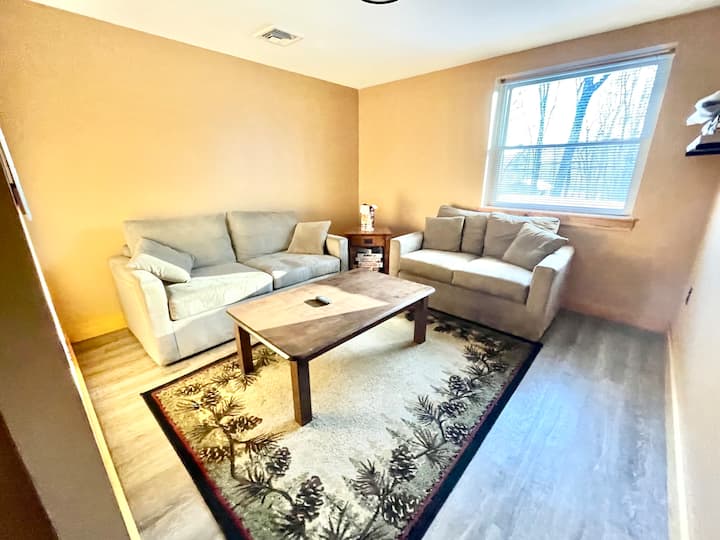 Lower level family room with sleeper sofa