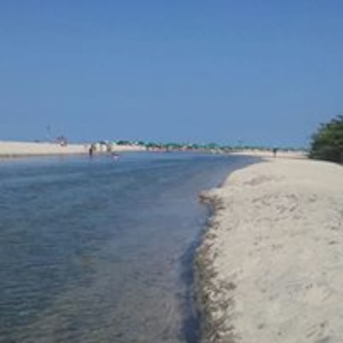 Disfrutando de la union del Rio y el mar, todo un sueño.