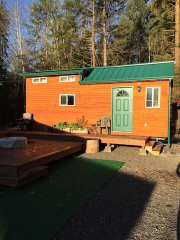 Tiny House The Forest Cabins For Rent In Forks