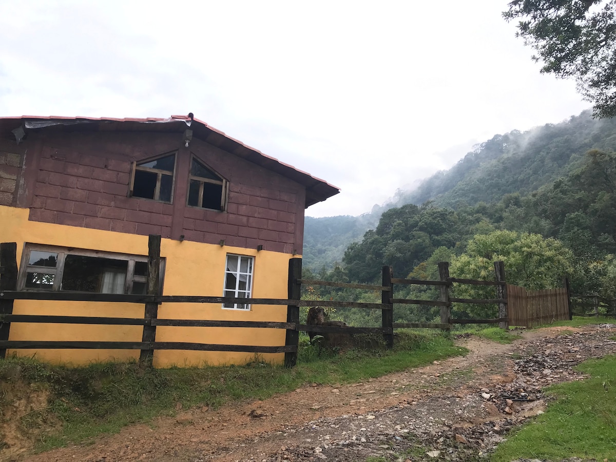 A rustic cabin with a combination of wooden and yellow walls is set against a lush green mountainous backdrop. The structure features several large windows that provide natural light, while a gravel path leads to the entrance, bordered by a wooden fence.