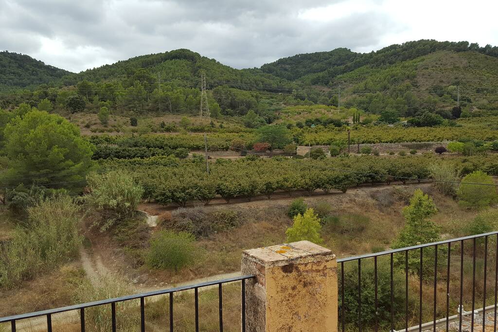 VISTAS DESDE LA TERRAZA (1)