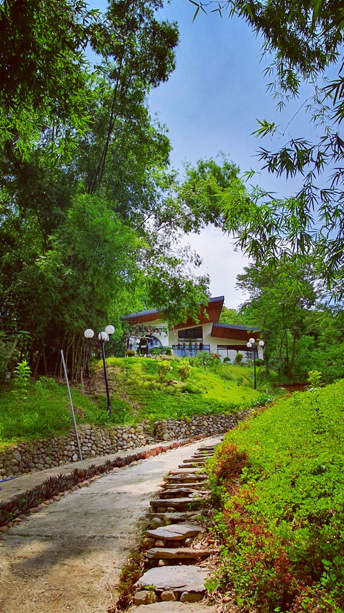 A winding stone pathway leads through lush greenery towards a villa surrounded by trees. Soft curves and gentle slopes in the landscape are accentuated by garden lights, while the inviting architecture stands prominently against the natural backdrop.
