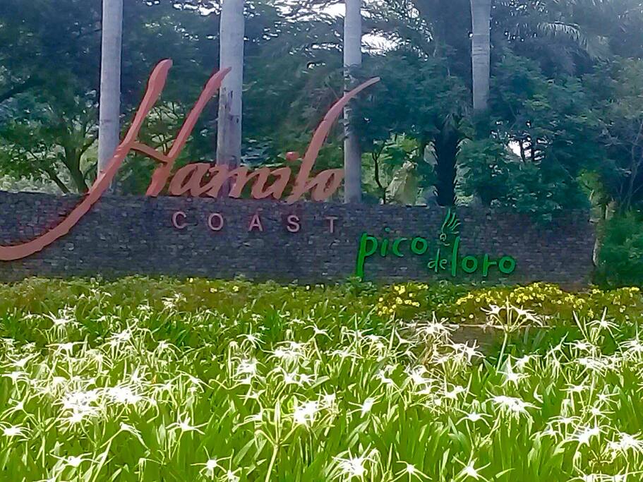 Gateway to Pico De Loro