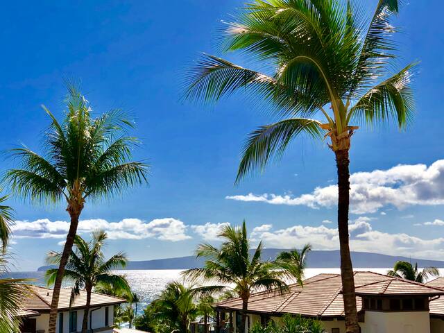 Wailea Beachfront Direct Ocean Views 4 Bd/3 Ba gallery image 3