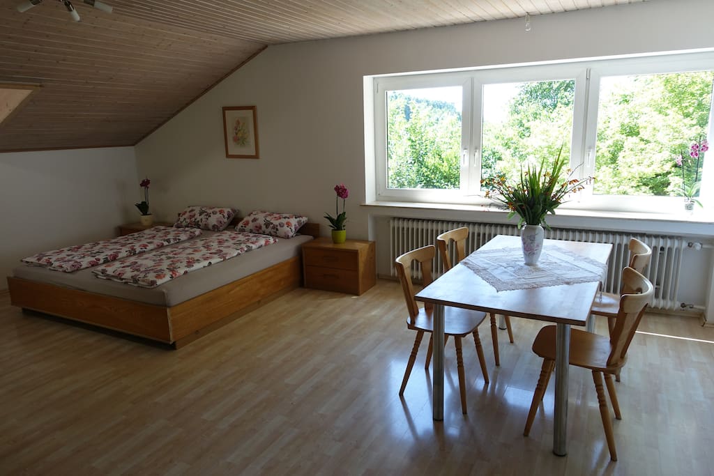 Wohn-/Schlafzimmer 1