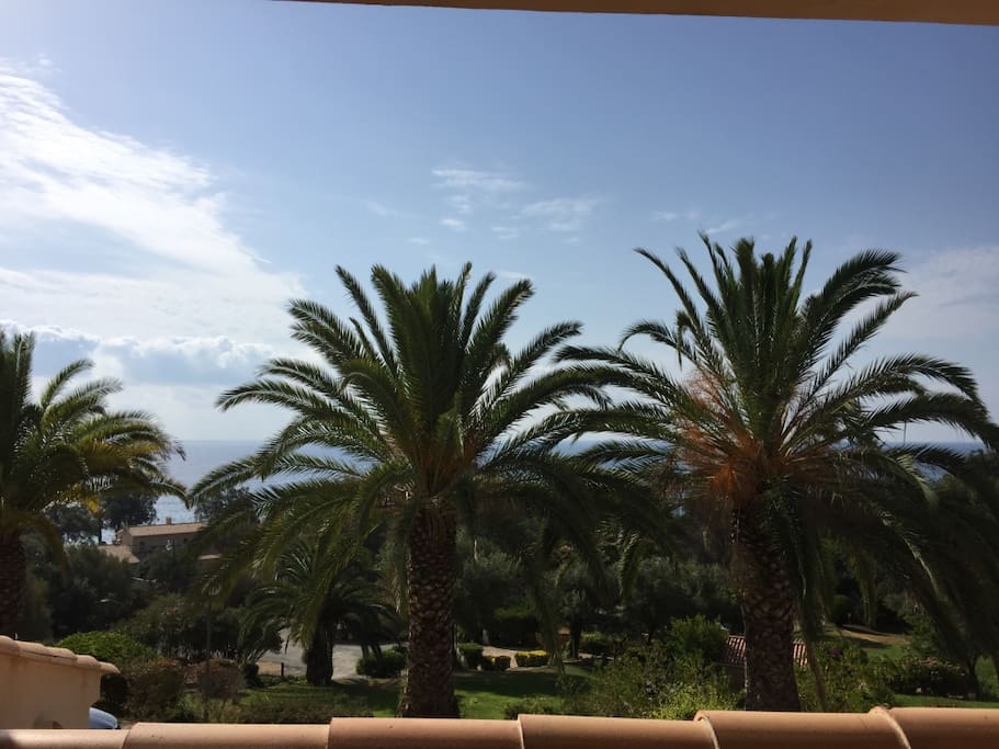 La terrasse
