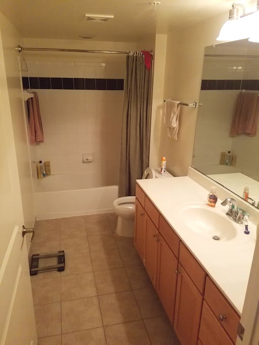 Main Bathroom