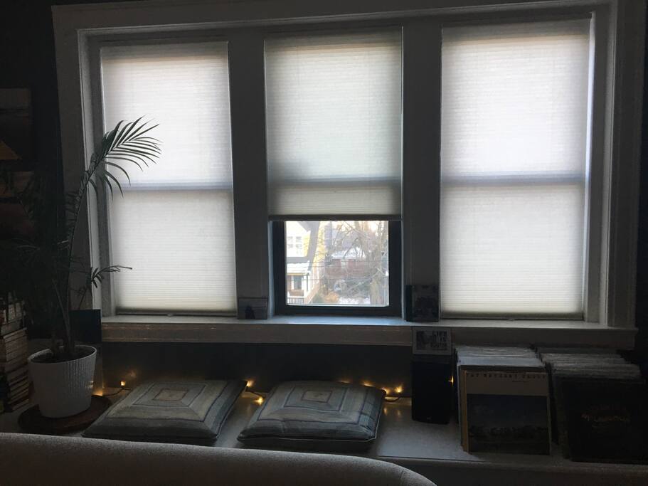 Living room windows...and vinyl records collection