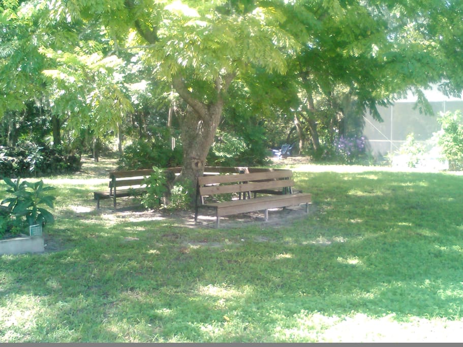 Park like setting backyard