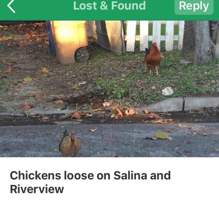 'Hood news.