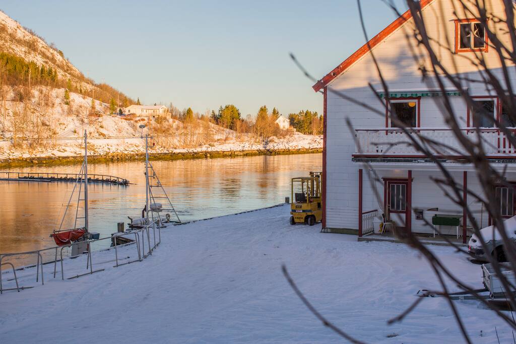 view down at the dock, from the parking right outside the apartment.