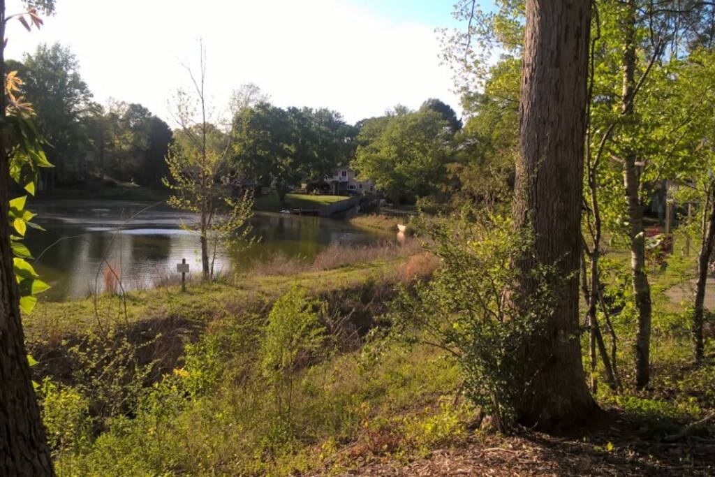 Shadow Lake
