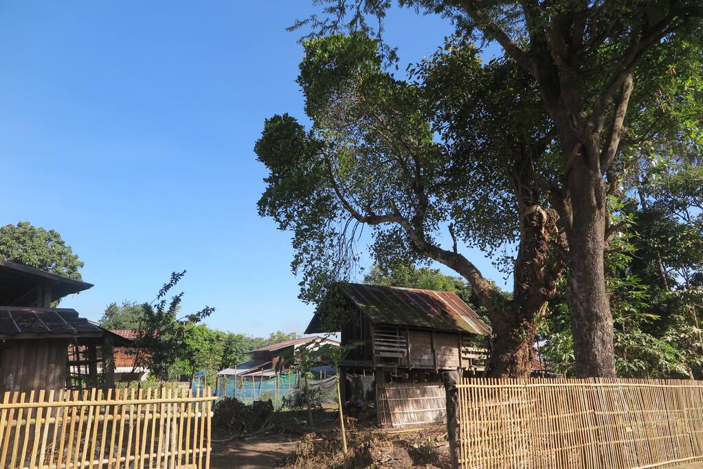 Our village