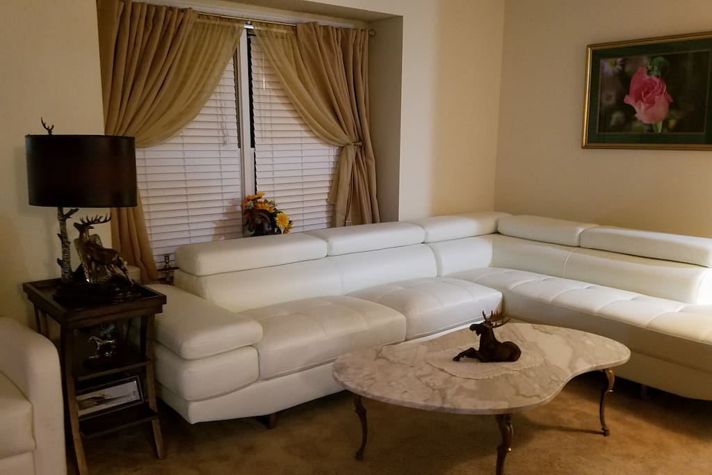 Leather sectional living room