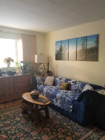 Airbnb Livonia Vacation Rentals Places To Stay New York
