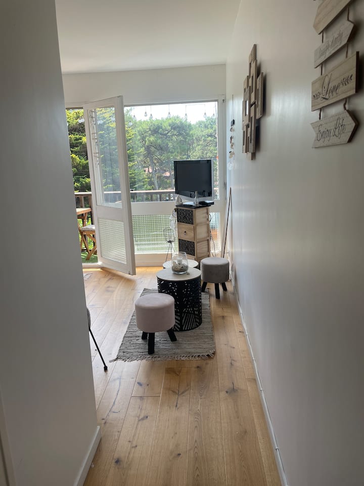 Studio Cosy Lumineux Proche De La Plage à Pied - Mimizan Plage
