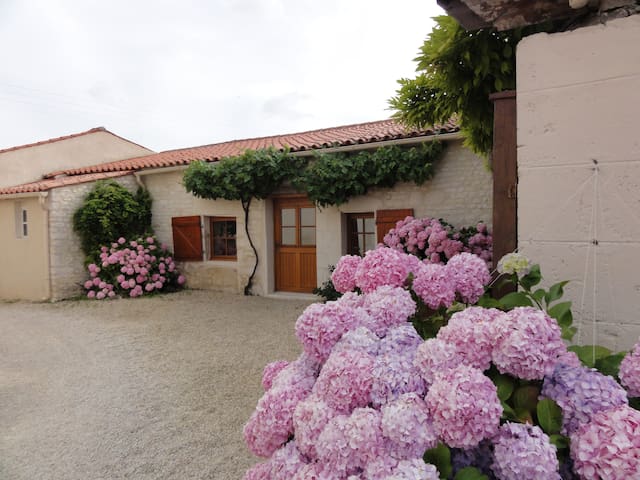 Marais Poitevin - studio of 40 m² p'tit déj included