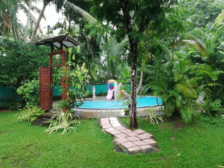 Pool and garden view