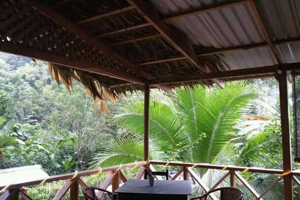 view from the terrace