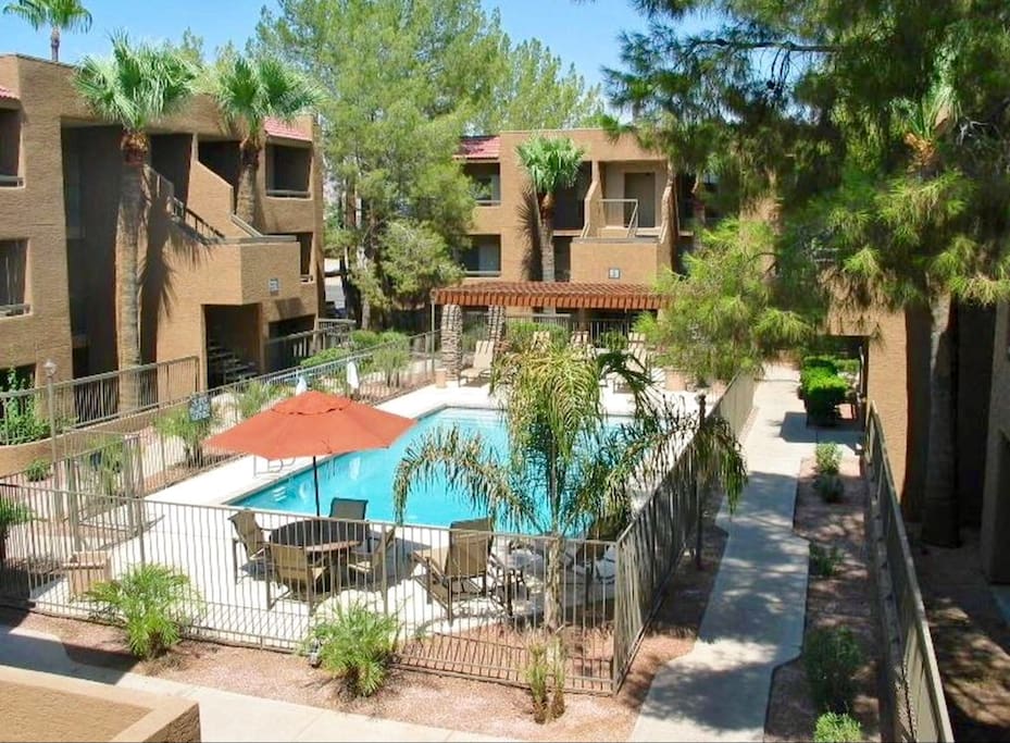 Pool oasis.