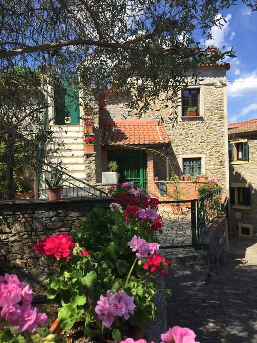 Entrata (sotto tettoia)