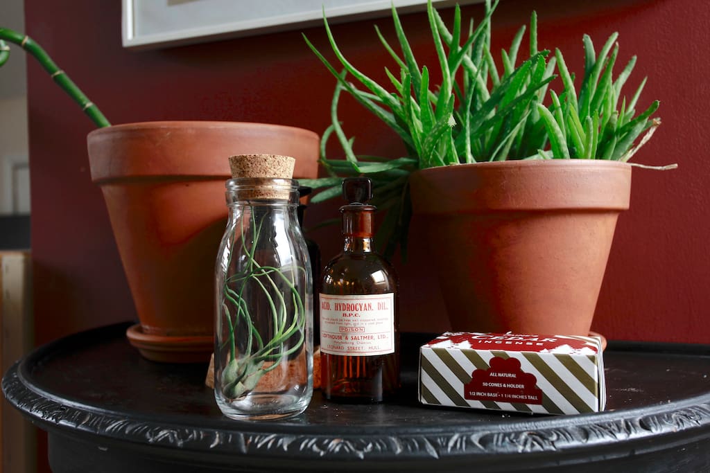 A bit of greenery (the plant in the bottle only needs a few drops of water every few weeks, how cool is that?)