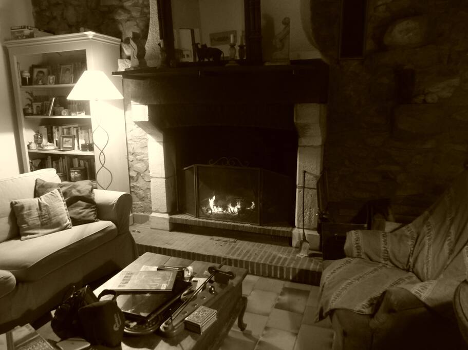 Le crépitement du feu dans la cheminée