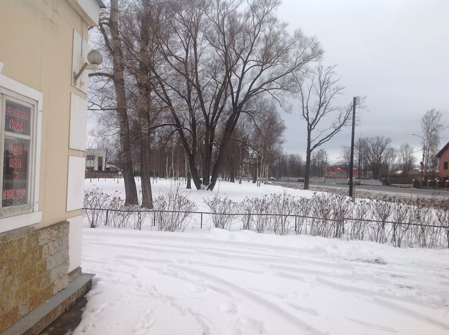 Вид на Санкт-Петербургское шоссе.