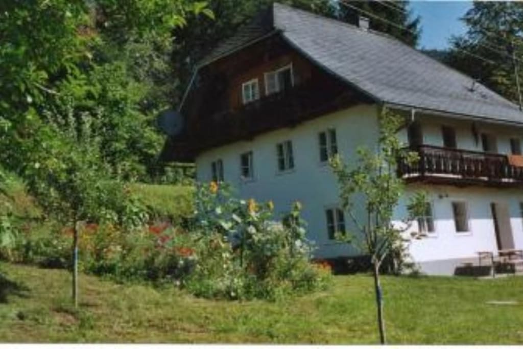 Blick vom Garten