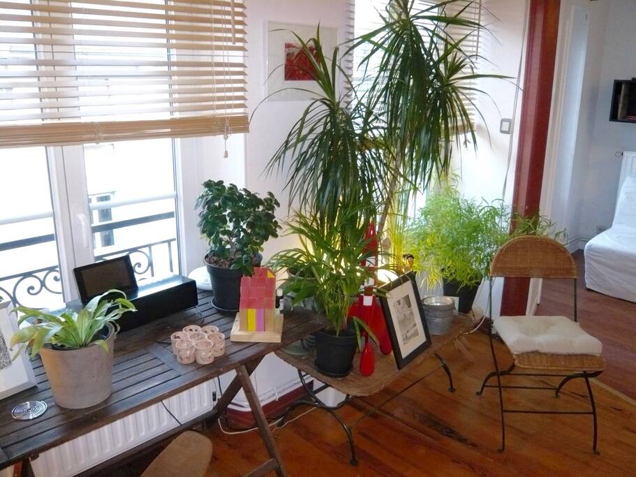 Les plantes se sentent bien ici!