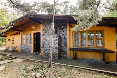 The Cabin in the Woods