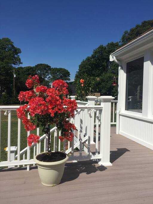 View from left side back deck