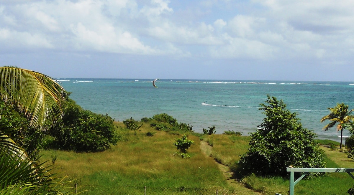 A sweeping view of the ocean is captured, revealing gentle waves and a kite surfer in the distance. Lush greenery lines the shore, with varying shades of blue in the water under a partly cloudy sky. A path leads through tall grass toward the water's edge.