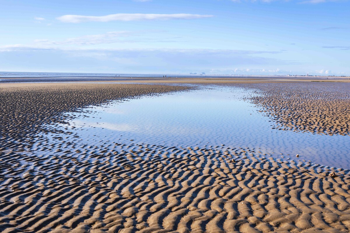 A calm beach landscape is presented with rippled sand patterns under a clear sky. A small pool of water reflects the open sky, adding to the serene atmosphere. The horizon reveals a distant line where the sea meets the sky, enhancing the tranquil scene.