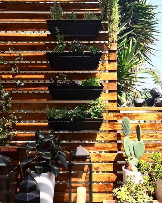 New outdoor herb garden!