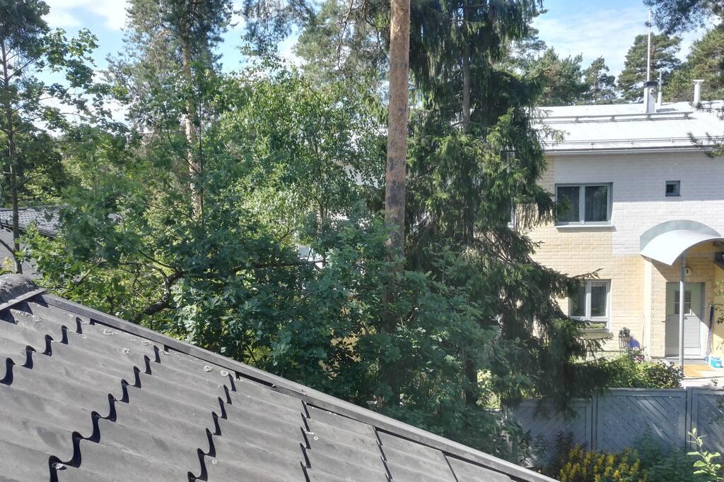 View from the window