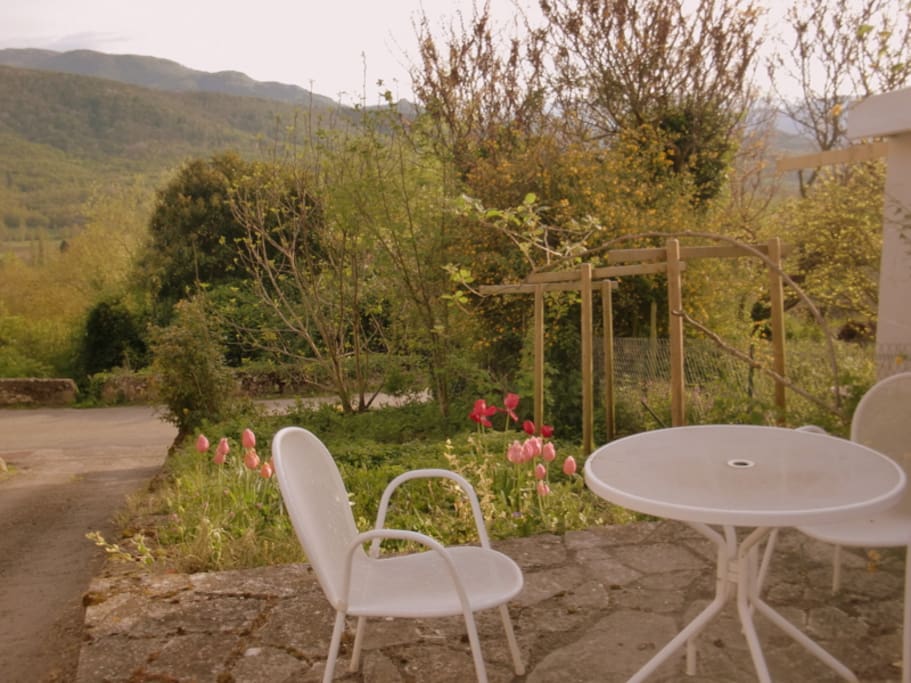 Terrasse et jardinet devant la maison
