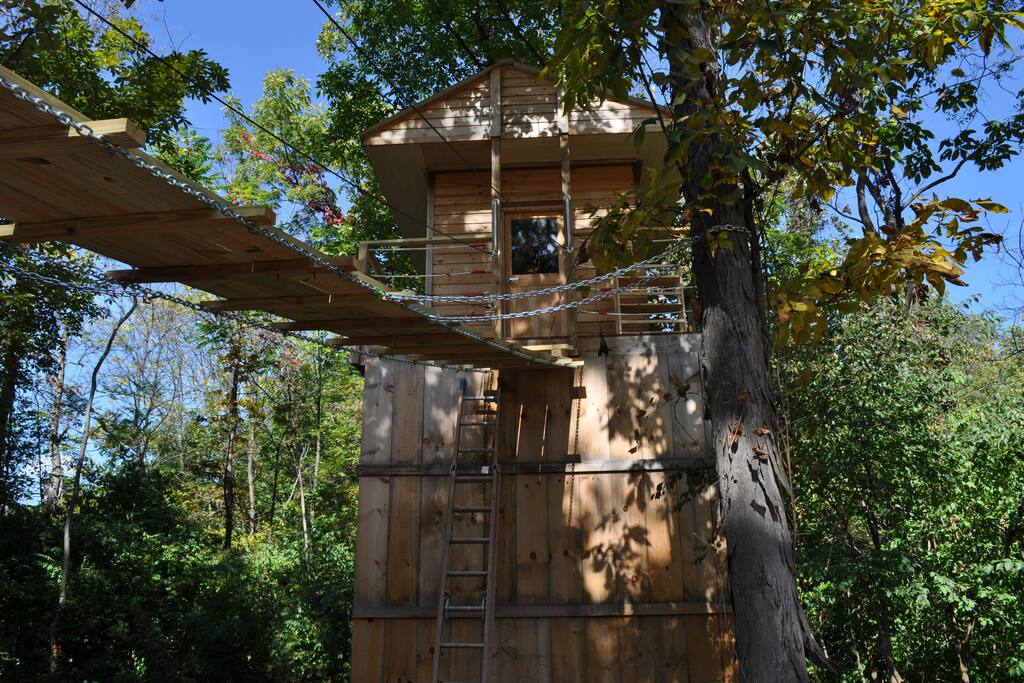 Cross suspension bridge to get to treehouse.