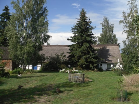 Eichhof Cottage - Ferienhaus im Grünen
