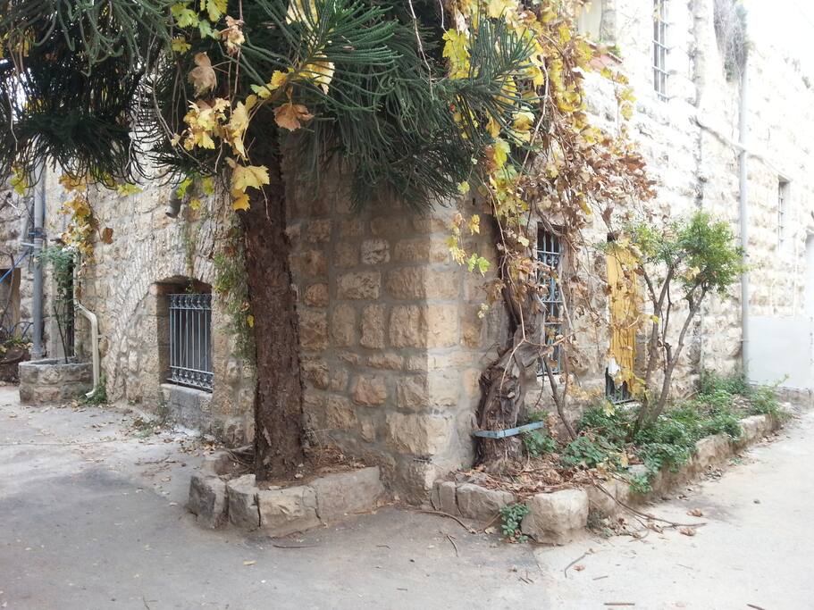 the corner of the house :)