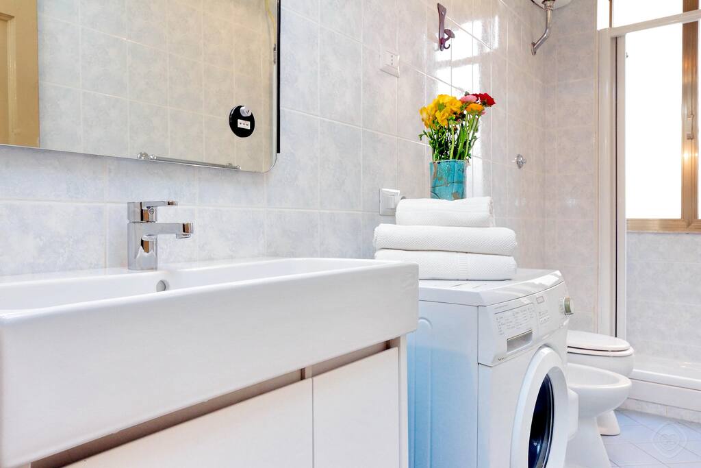 The bathroom houses a washbasin, toilet and shower