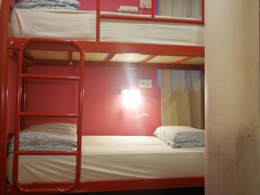 Beary's 6 Bed Mixed Dorm (Ground Floor)