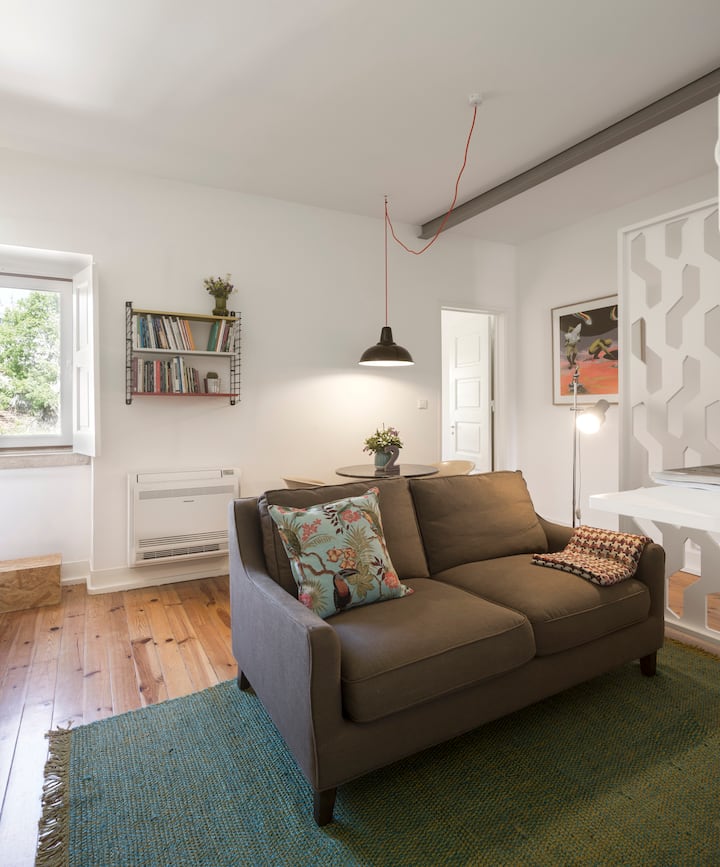 Flattered to be in Tomar, 1 Bedroom Apartment Apartments for Rent in