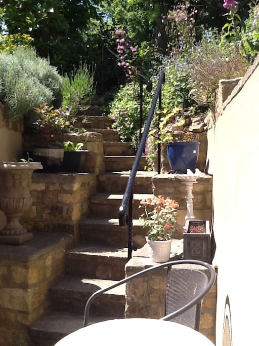 Steps up to garden