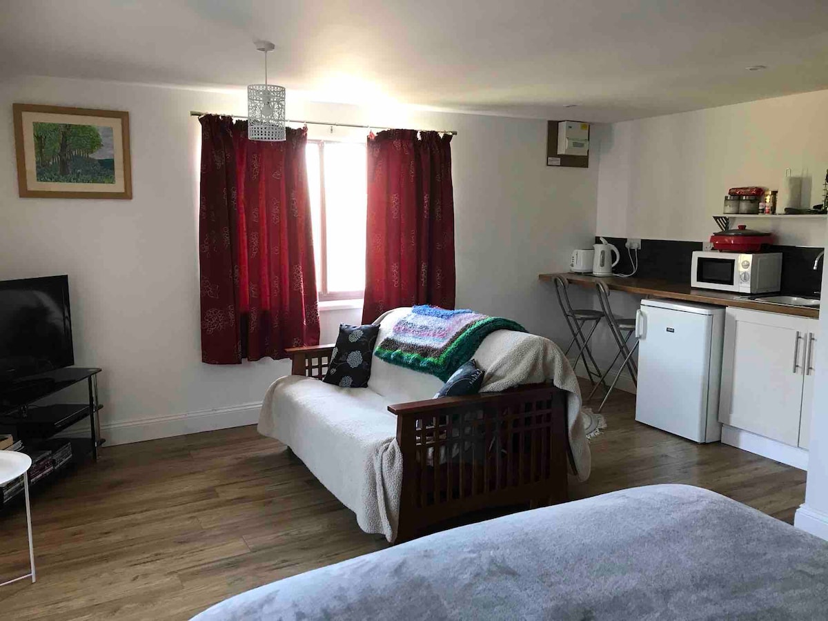 The self-contained studio features a sitting area with a futon sofa bed draped with a blanket. A window is dressed with red curtains, allowing natural light. The kitchenette includes a microwave, kettle, and small fridge, with a wooden table and chairs positioned nearby.