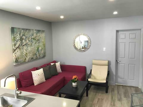 Large 3-bedroom apartment 15min to MTL