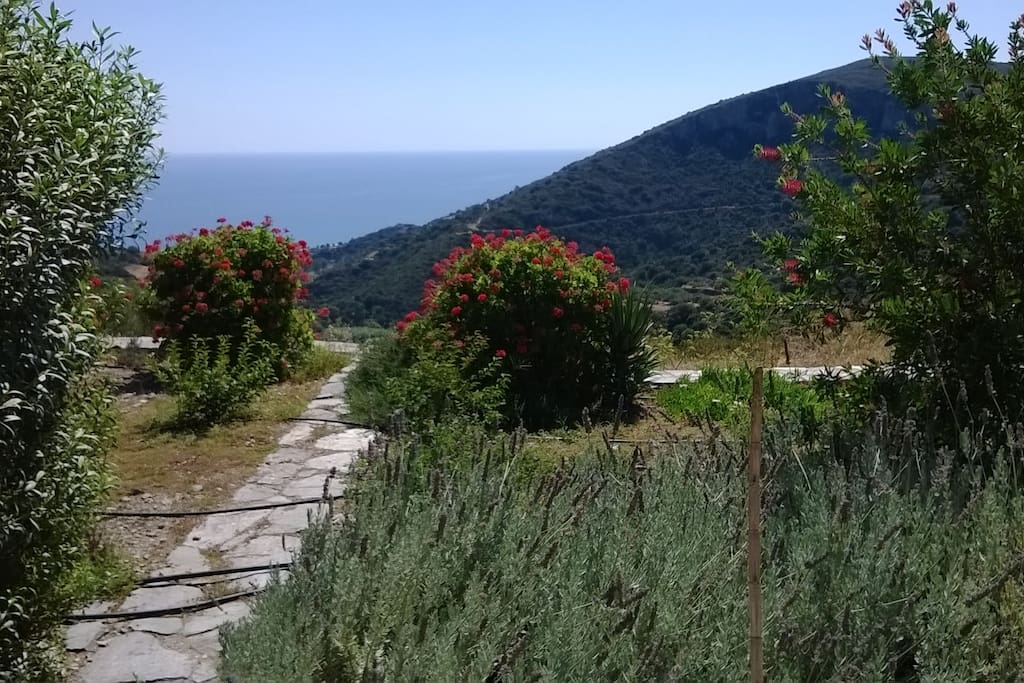 Sea view from the front terrace